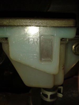 20150425_122110.jpg
